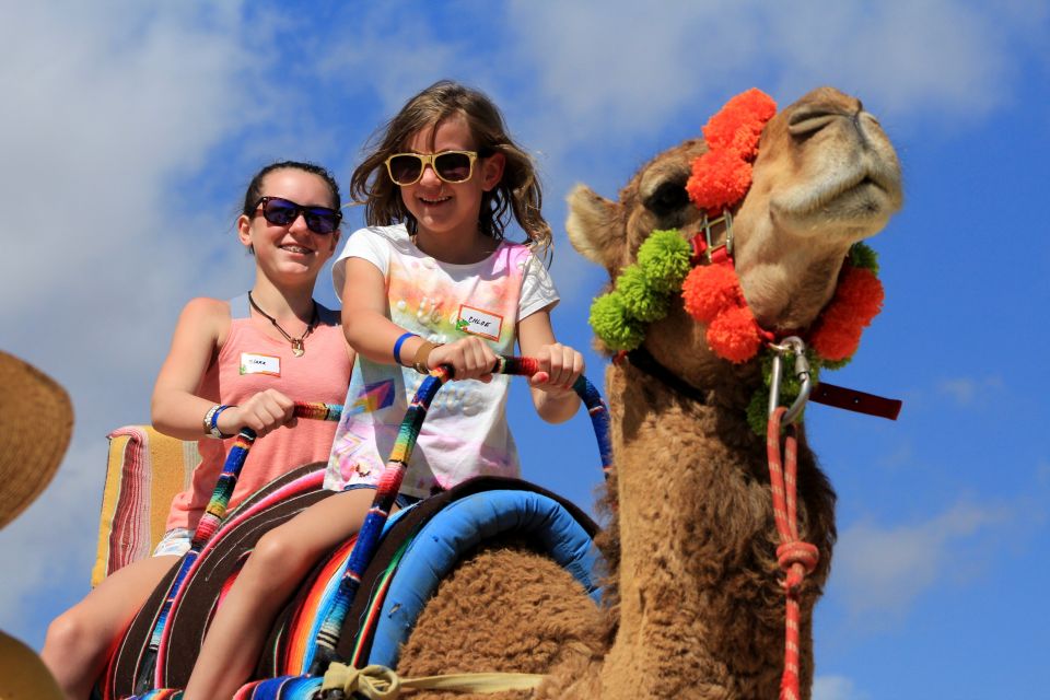 From Cabo: El Tule Canyon Camel Adventure - Experience Highlights