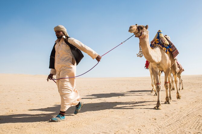 From Cairo: Desert Safari, Waterfalls, Sand Boarding and Camel Ride With Lunch - Activities and Highlights