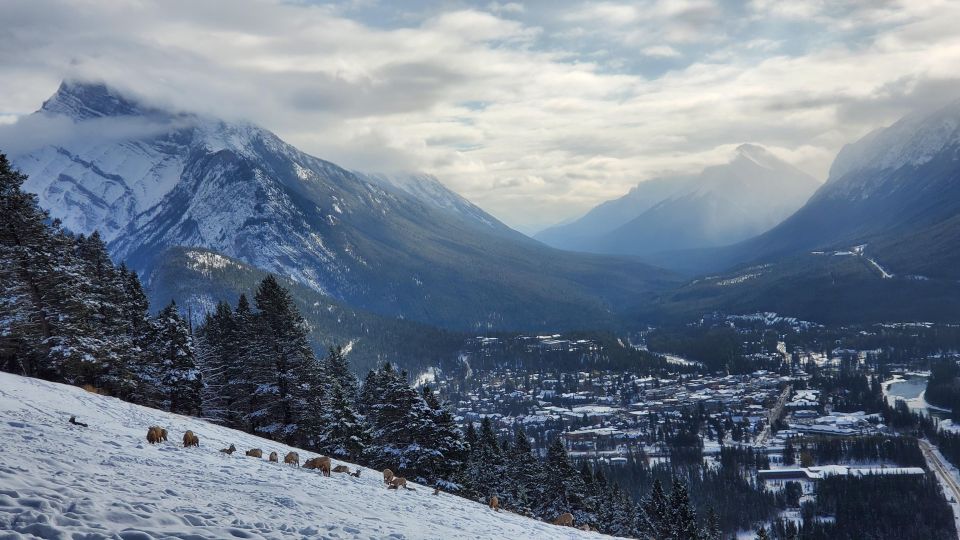 From Calgary: Banff National Park Day Trip - Highlights