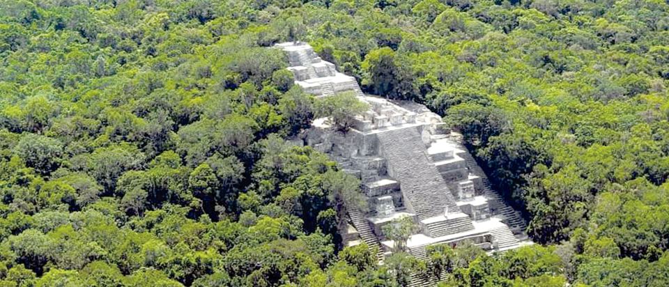 From Campeche: Calakmul Guided Nature and History Day Trip - Experience Highlights