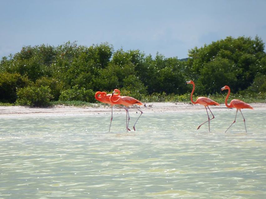 From Cancún: Day Trip to Las Coloradas Pink Lakes - Highlights