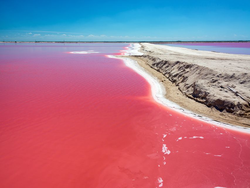 From Cancun: Las Coloradas and Río Lagartos Day Tour - Inclusions and Transportation Details