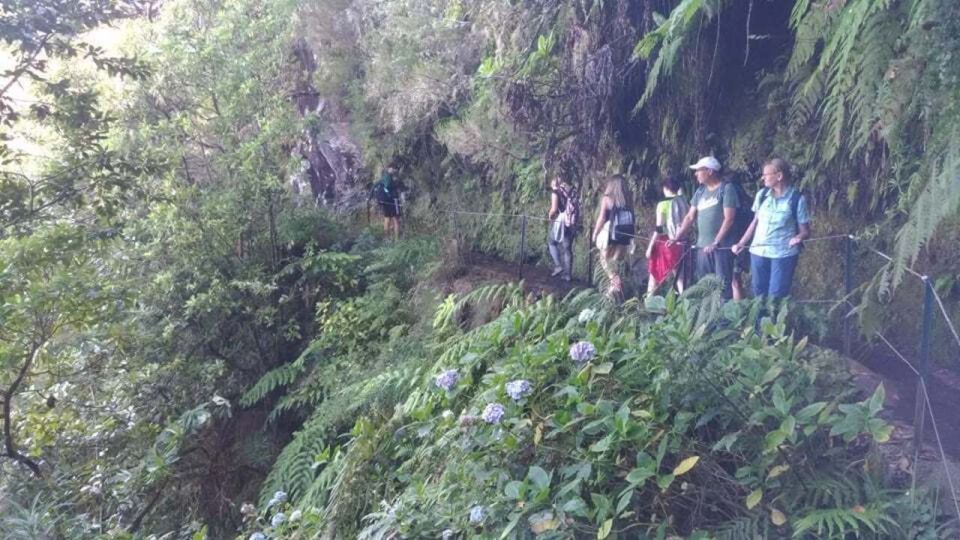 From Caniço/Funchal: Levada Caldeirão Verde Hiking Trip - Experience Highlights