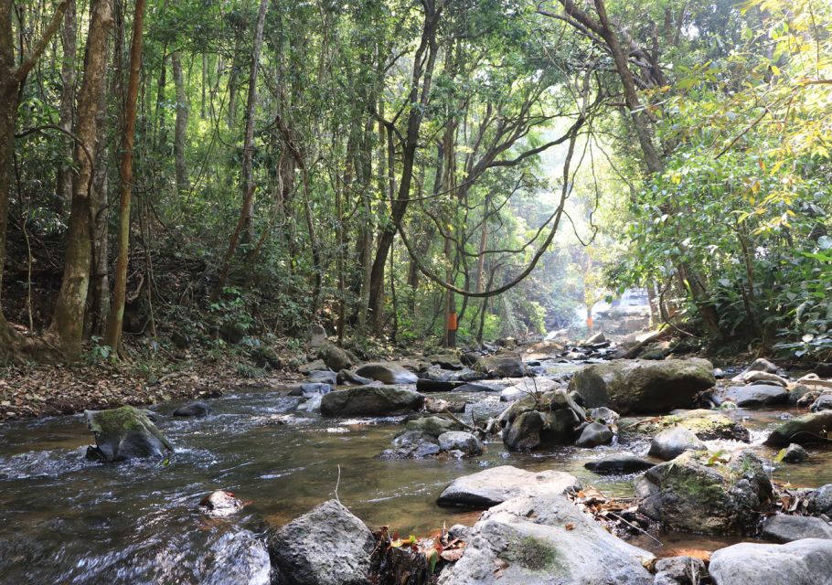 From Chiang Mai: Doi Inthanon National Park Hiking Tour - Tour Experience
