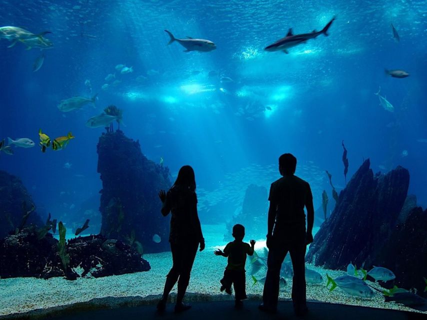 From City of Side: Antalya Aquarium Full-Day Trip - Antalya Aquarium Experience