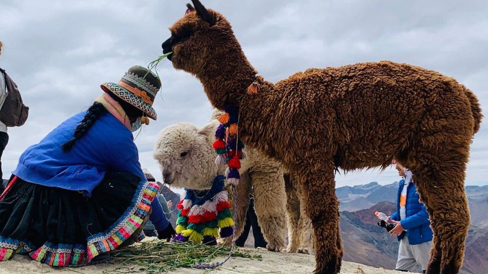 From Cusco: Adventure to Rainbow Mountain(ATV) - Experience Highlights