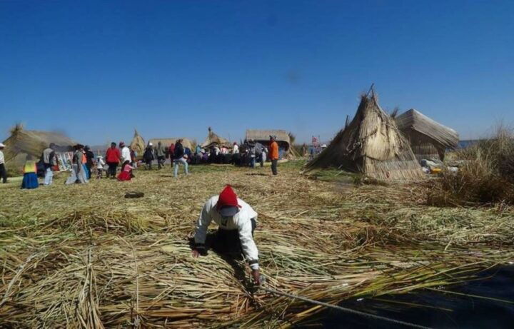 From Cusco: Full Day Uros and Taquile Island - Tour Experience