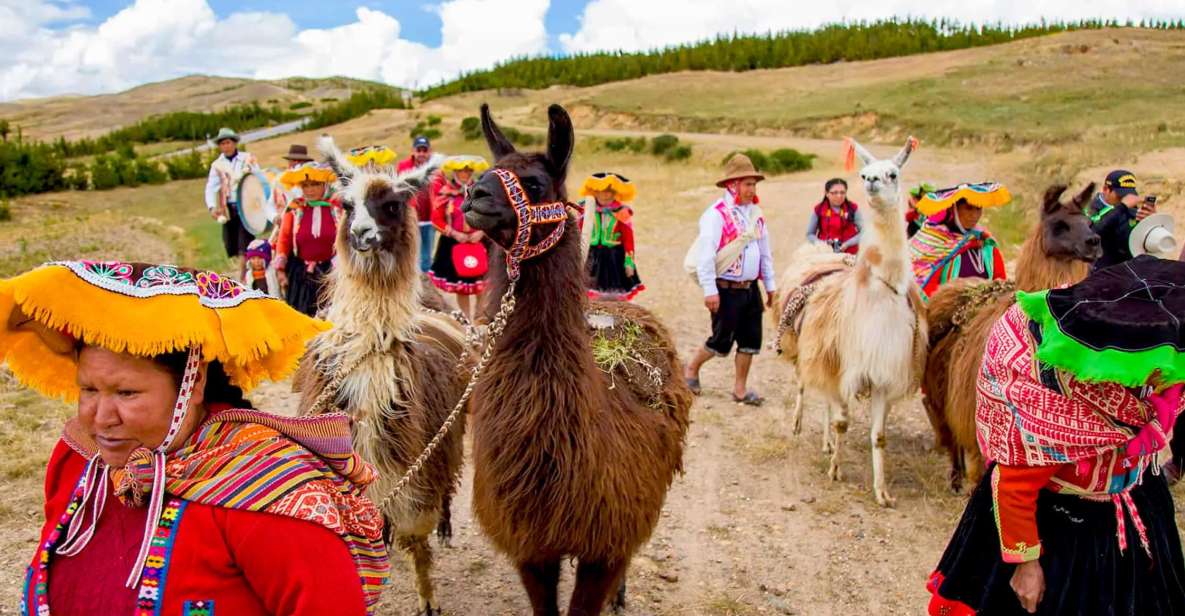 From Cusco: Llama Trekking - Pickup and Start Time Information
