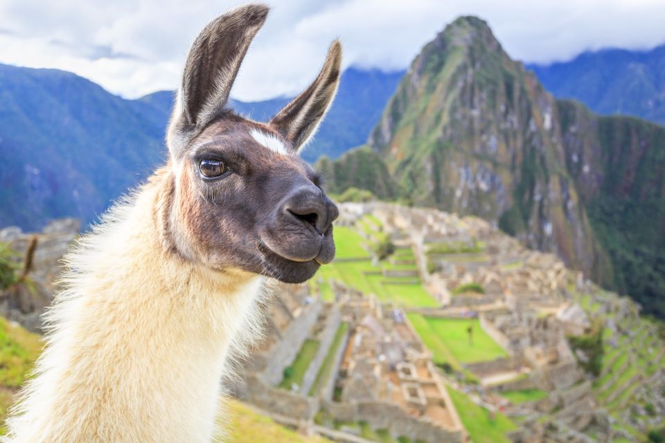 From Cusco: Machu Picchu and Sacred Valley 2-Day Tour - Itinerary Highlights