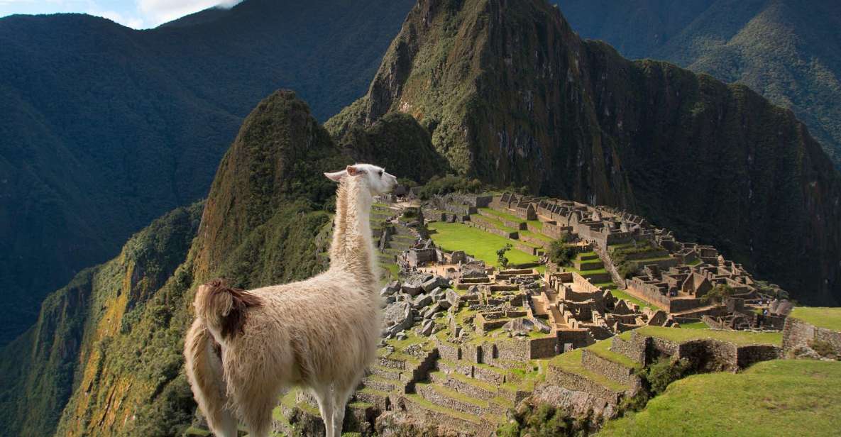 From Cusco : Machu Picchu Huayna Picchu Mountain - Experience