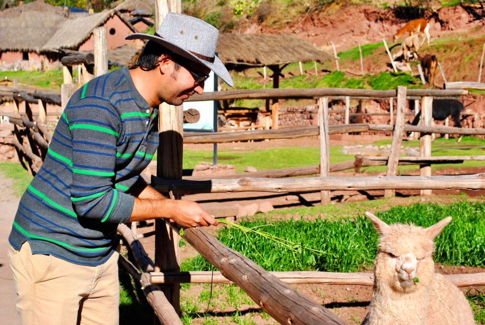 From Cusco: Private Pisac Ruins and Alpaca Farm Day Trip - Booking Information