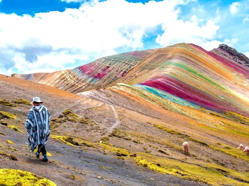 From Cusco Private Service Palccoyo Mountainforest Stones - Highlights of the Tour