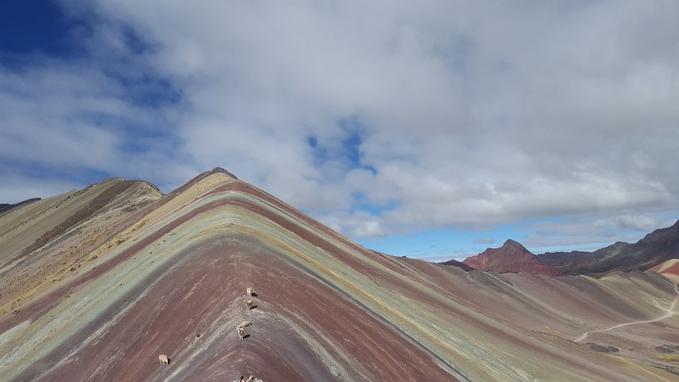 From Cusco: Rainbow Mountain Private Tour - Experience and Highlights