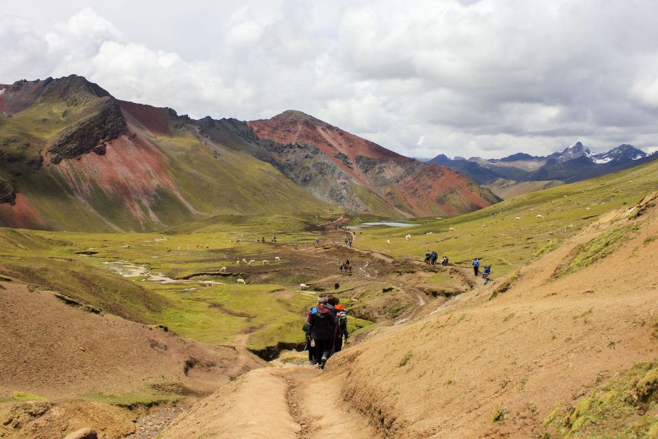 From Cusco: Rainbow Mountain Trek - Experience Highlights