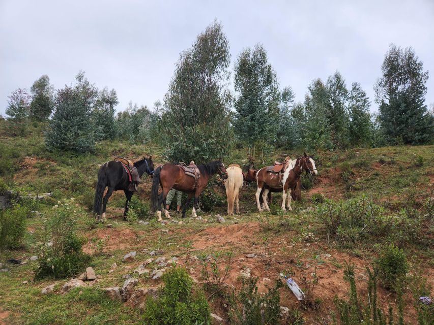 From Cusco: Temple of the Moon Horseback Tour With Transfer - Experience Highlights