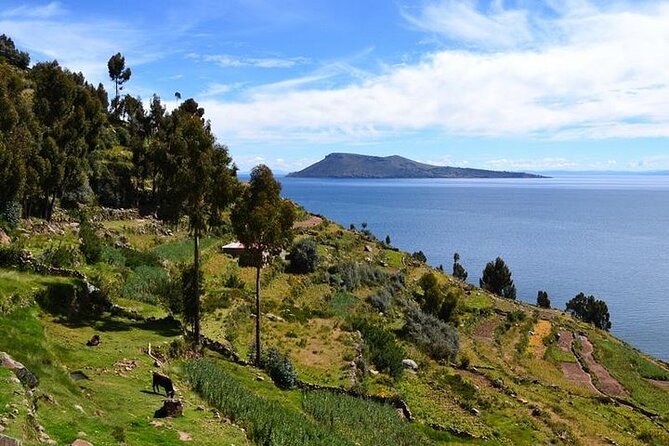 From Cusco to Lake Titicaca: 2-Day Homestay Tour - Cancellation Policy Information