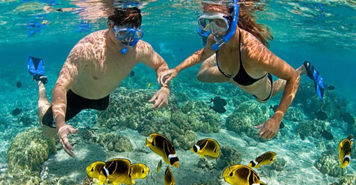 From Da Nang/Hoi An: Cham Island Snorkeling Day Tour & Lunch - Tour Experience