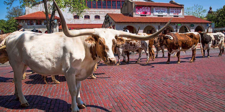 From Dallas: Fort Worth Guided Day Tour - Experience Highlights