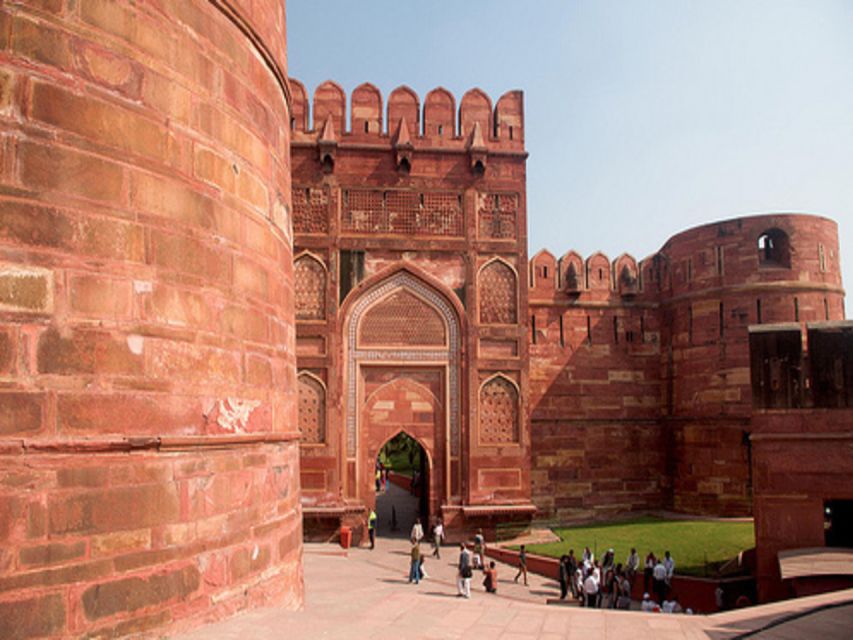From Delhi: Trip to Taj Mahal, Wildlife SOS and Agra Fort - Experience Highlights