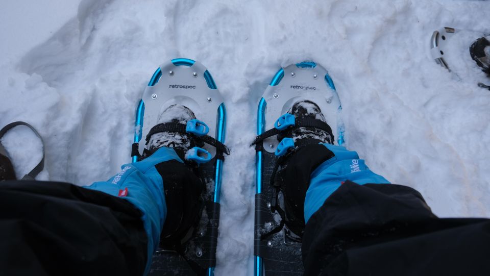 From Denver: Snowshoeing in Rocky Mountains - Experience Highlights