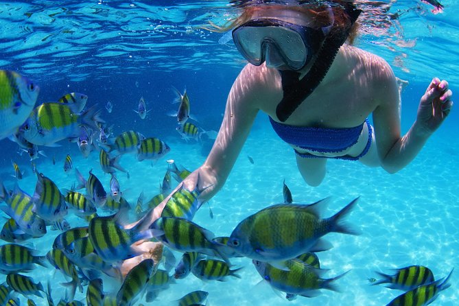 From Dubai: Snorkeling Trip in Fujairah - Inclusions and Requirements