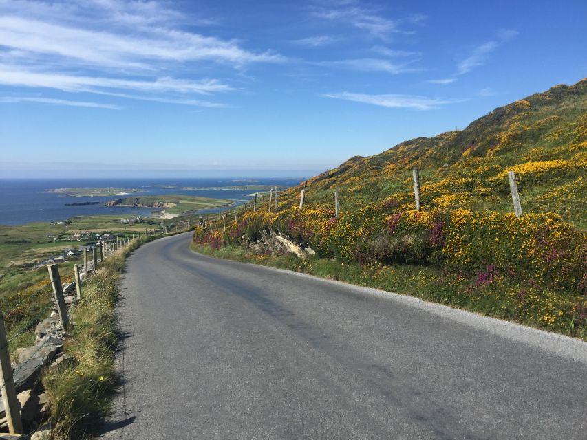 From Dublin: Connemara and Galway Bay Day Tour - Tour Experience