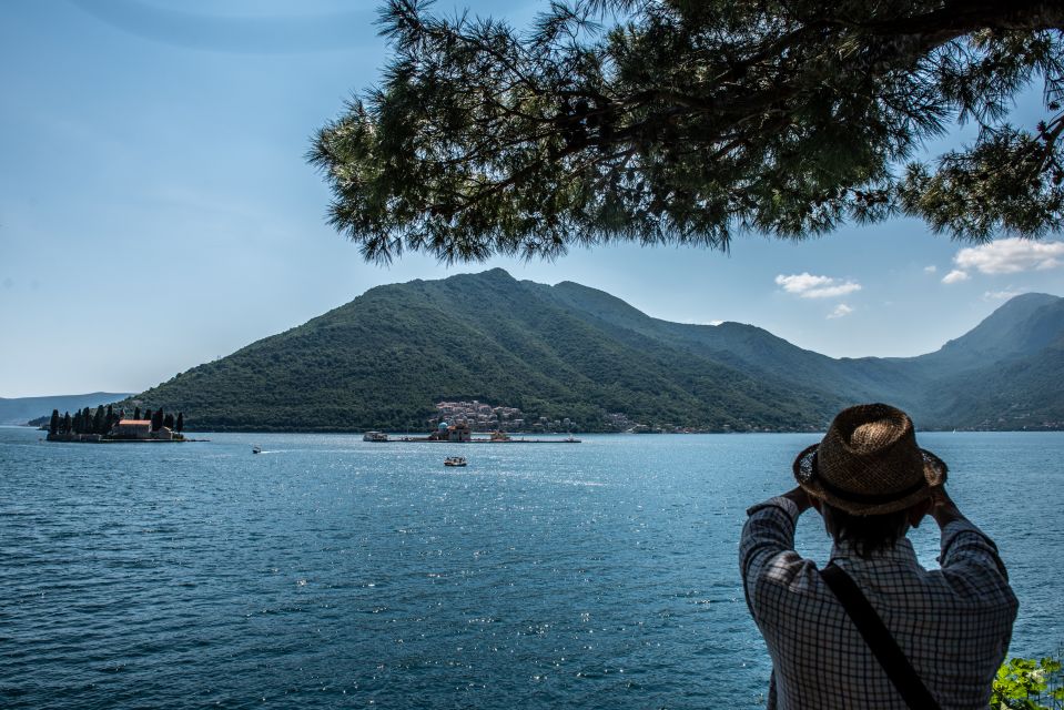 From Dubrovnik: Guided Day Trip to Bay of Kotor - Experience Highlights