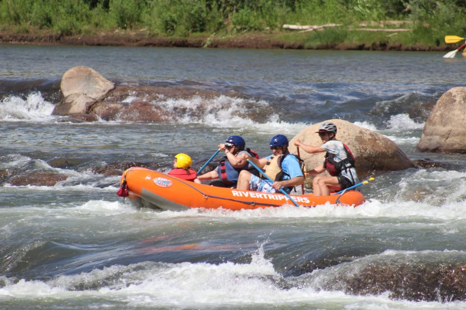 From Durango: Animas River Whitewater Rafting - Highlights of the Trip