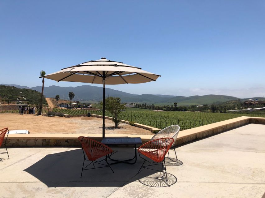 From Ensenada: Wine Tasting at Guadalupe Valley Ensenada - Full Description