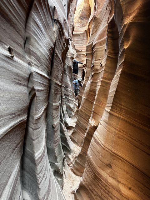 From Escalante: Zebra Slot Canyon Guided Tour and Hike - Experience Highlights