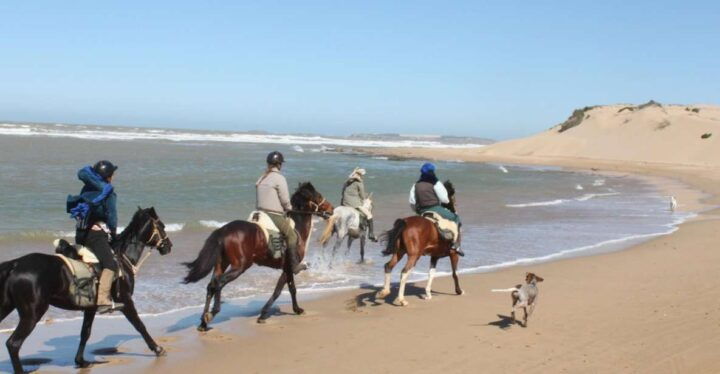 From Essaouira: 1-Hour Horse Ride - Booking Information