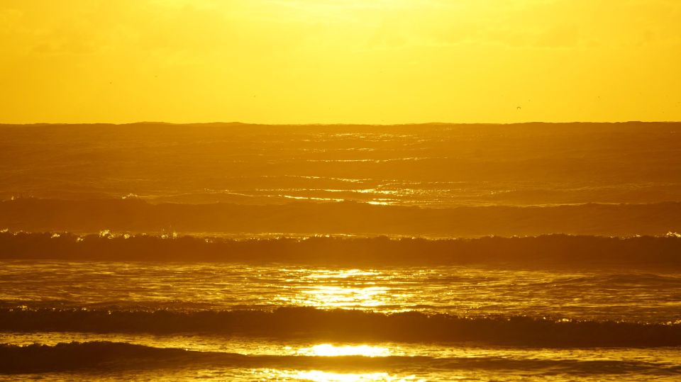 From Essaouira: 2h Horseback Ride With Sunset - Experience Highlights