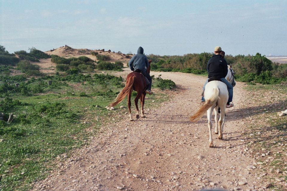 From Essaouira: Scenic Diabat Horseback Ride With Transfer - Experience Highlights