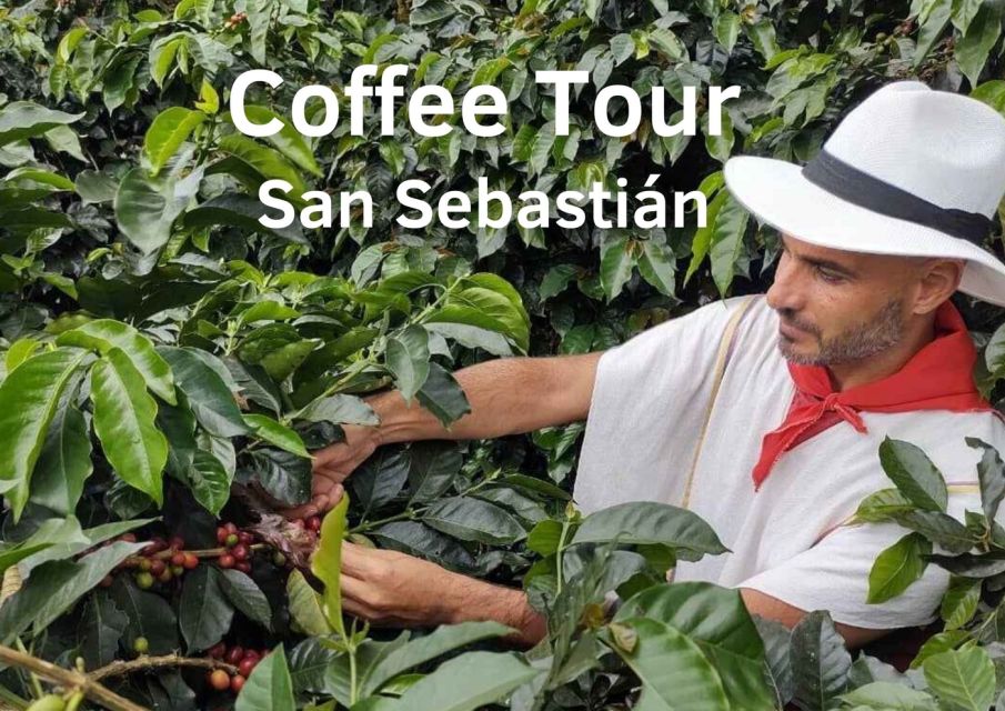 From Farm to Cup: The Ultimate Coffee Tour - Coffee Tour Itinerary