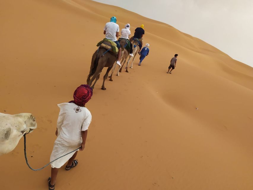 From Fes: 3-Day, 2-Night Desert Trip to Merzouga - Experience Highlights