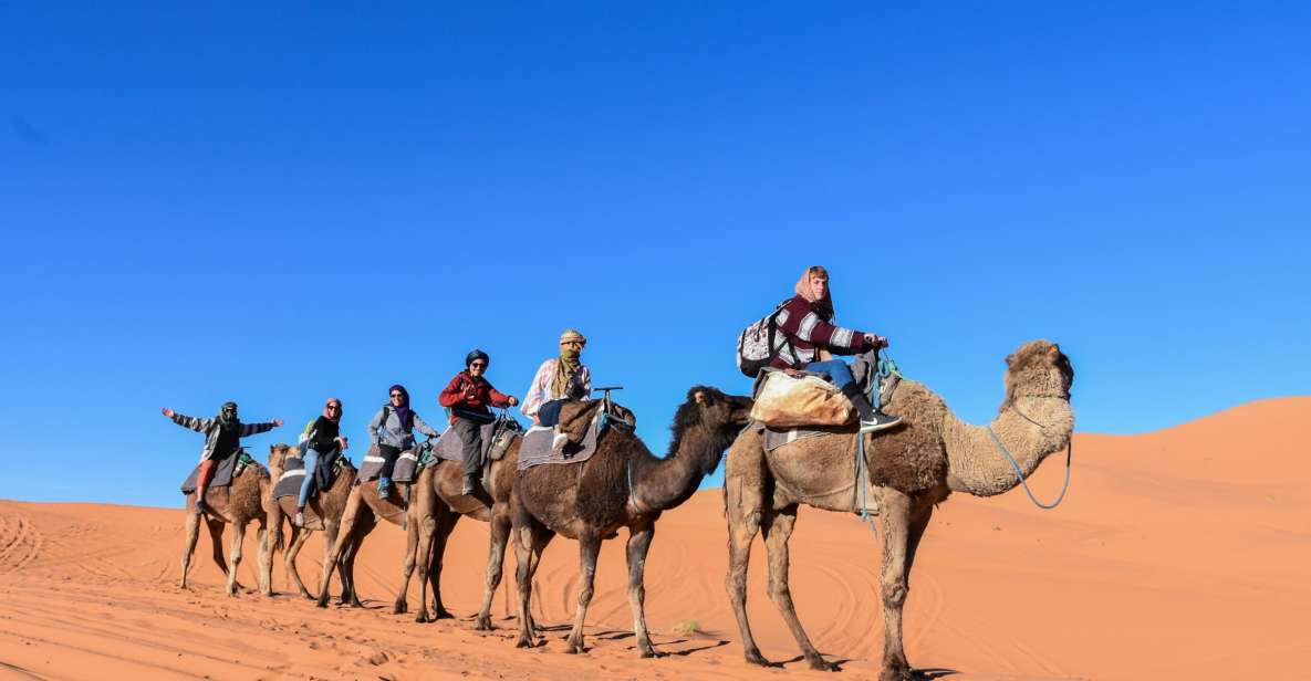 From Fes: 3 Days and 2 Nights Desert Trip to Marrakech - Desert Adventure Highlights