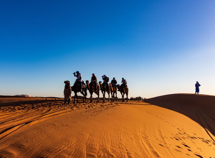 From Fes: 4-Day Trip to Marrakech via Merzouga & Gorges - Experience Highlights and Activities