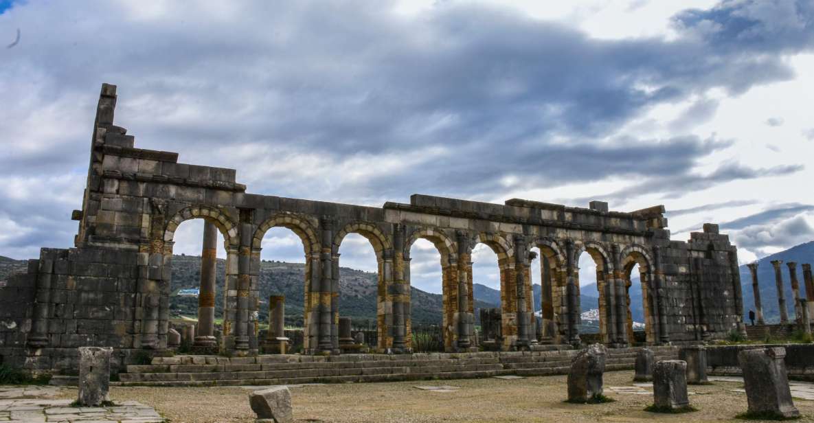 From Fes: Meknes Volubilis and Moulay Idriss Day Trip - Tour Highlights