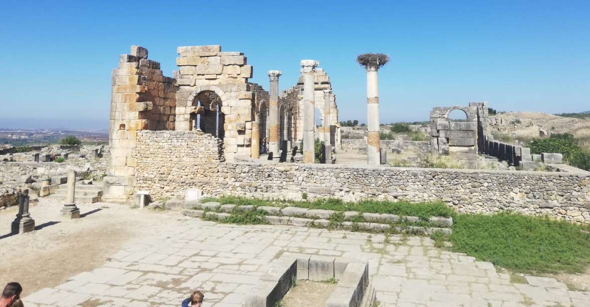 From Fes: Volubilis, Moulay Idriss, and Meknes Day Trip - Highlights