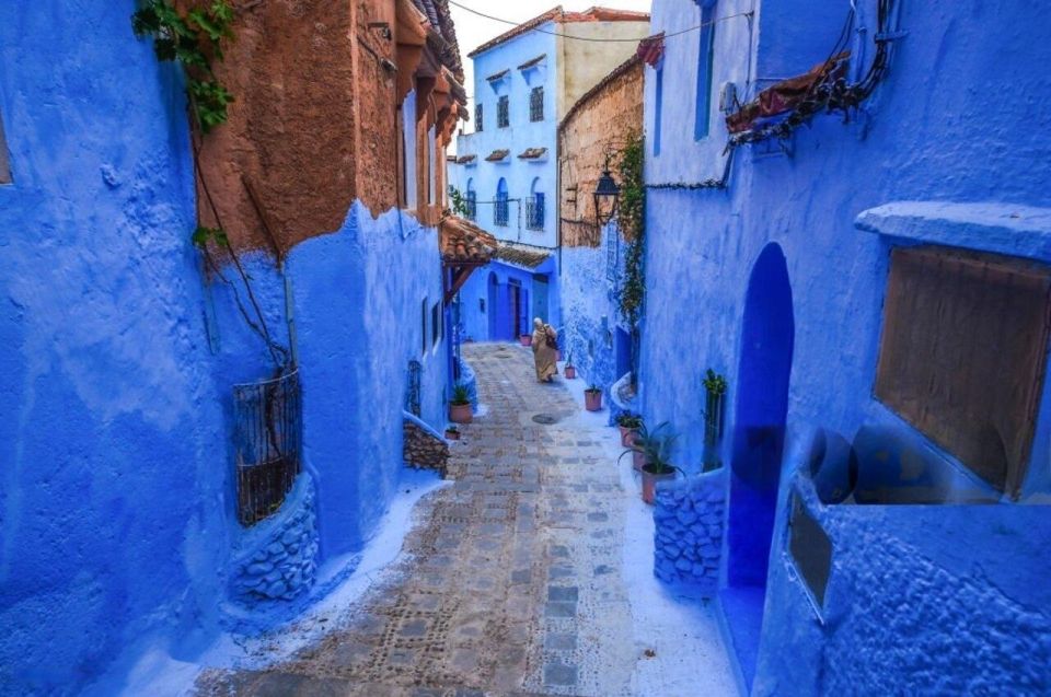 From Fes:Day Trip From Fez to Chefchaouen With a Local Guide - Experience Highlights