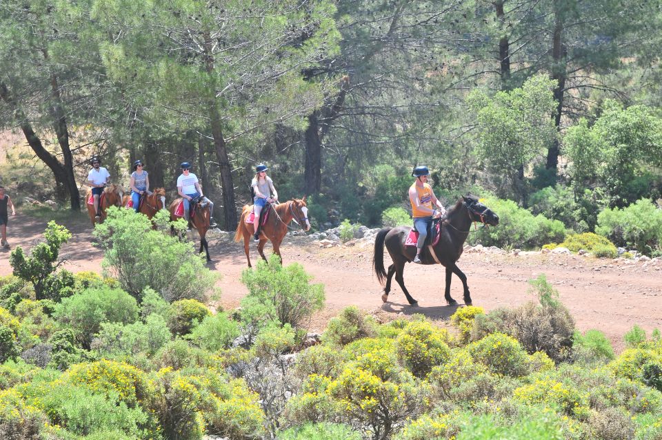 From Fethiye: Horse Riding Adventure - Experience Highlights