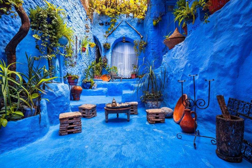 From Fez: Day Trip to Chefchaouen the Blue City - Experience Highlights