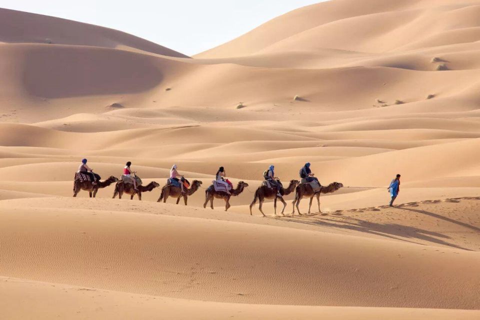 From Fez to Marrakech: 3-Day Merzouga & Sahara Desert Tour - Tour Highlights