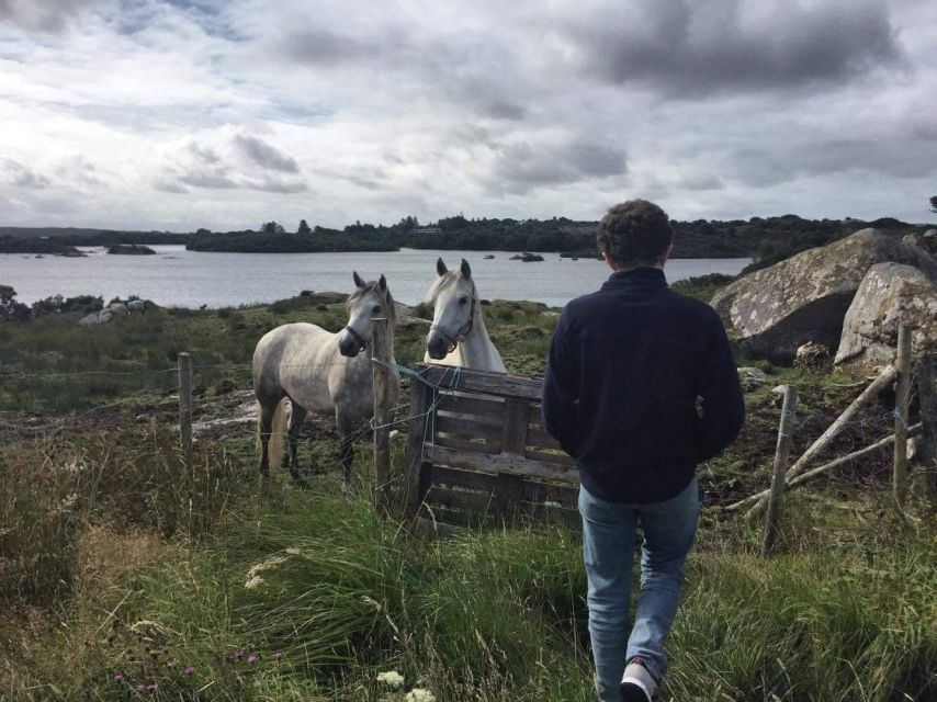 From Galway: Connemara and Connemara National Park Day Trip - Booking Information