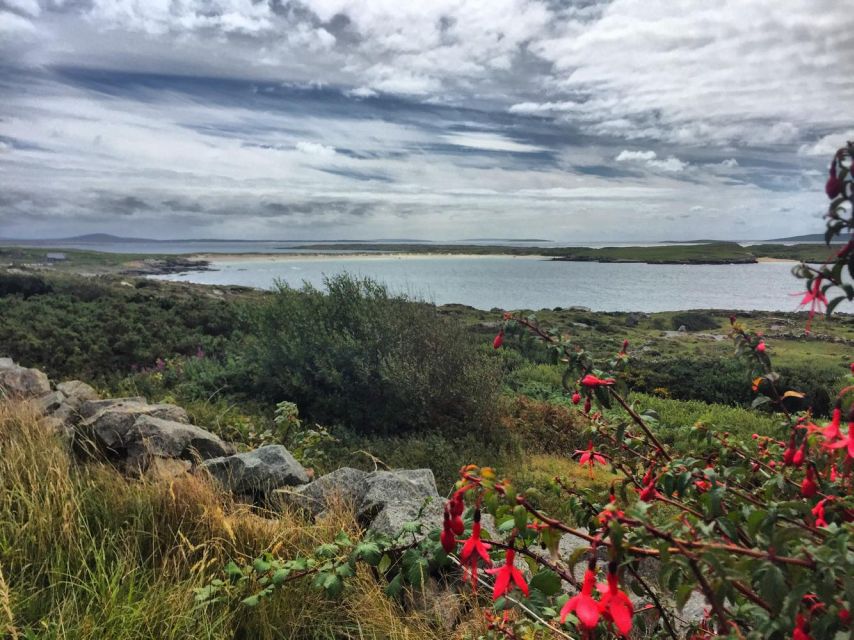 From Galway: Connemara and Kylemore Abbey Day Tour - Flexible Itinerary and Highlights