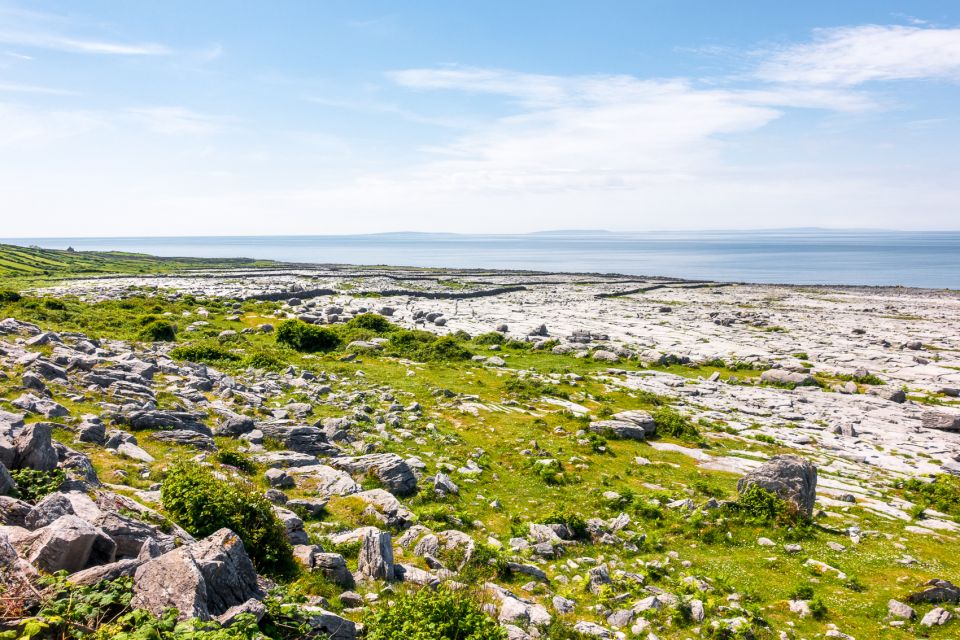 From Galway: Full-Day Cliffs of Moher & Burren Tour - Live Tour Guide and Language