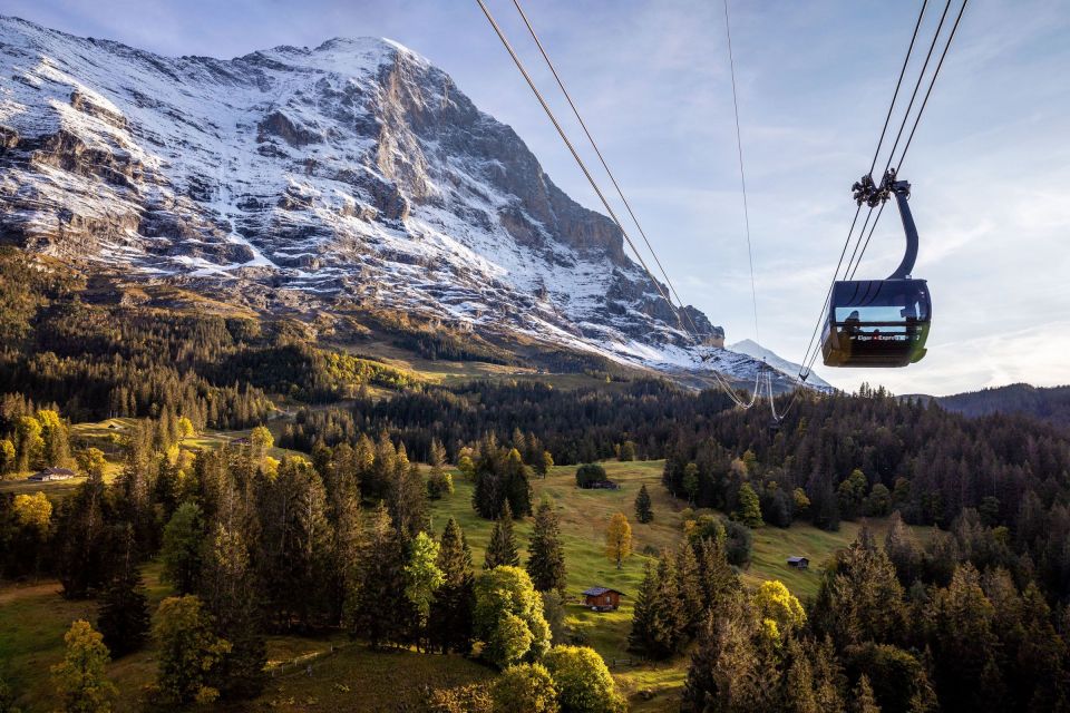 From Grindelwald: Jungfraujoch Round-Trip Railway Ticket - Experience Highlights