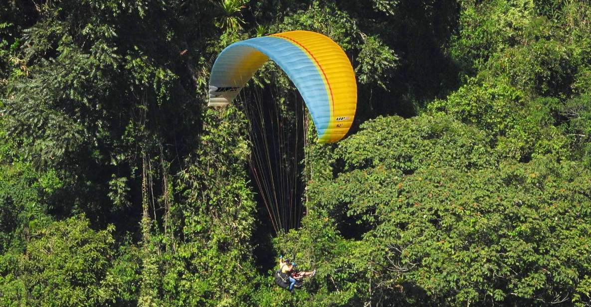 From Guatape: Paragliding Over Guacaica Jungle - Experience Highlights