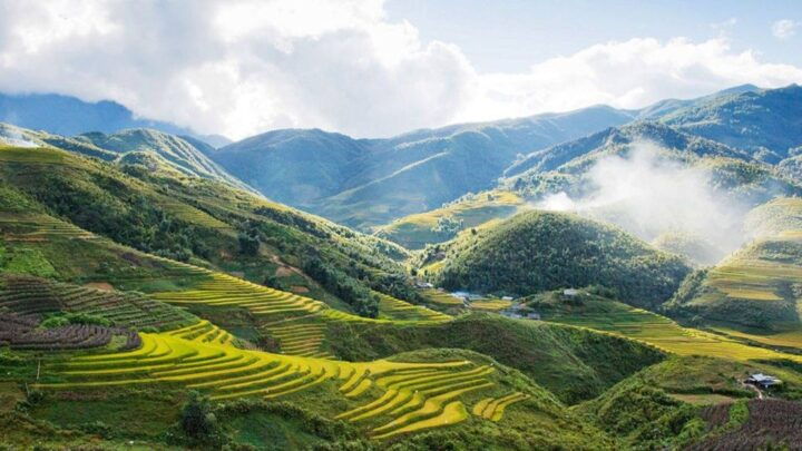 From Hanoi: 2-Day Overnight Sapa Tour by Luxury Transfer - Experience Highlights in Sapa