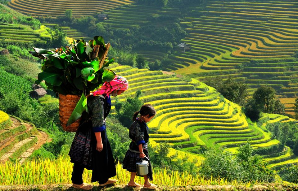 From Hanoi: 2-Day Trekking to Villages in Sapa With Homestay - Cultural Immersion Highlights